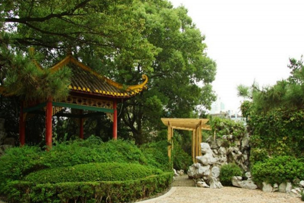 如何讓土地“變肥”，讓樹苗“夠吃”？