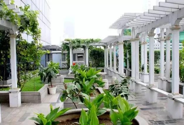 湖北凱蒂園林告訴你園林綠化工程主要包含哪些內(nèi)容？